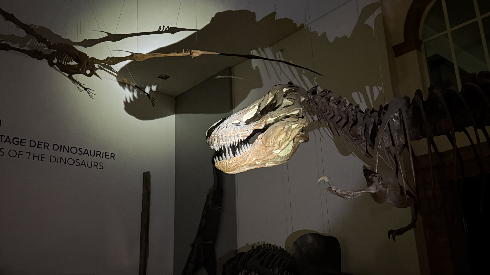 Mehr über den Artikel erfahren Wenn Netzwerke Evolution brauchen