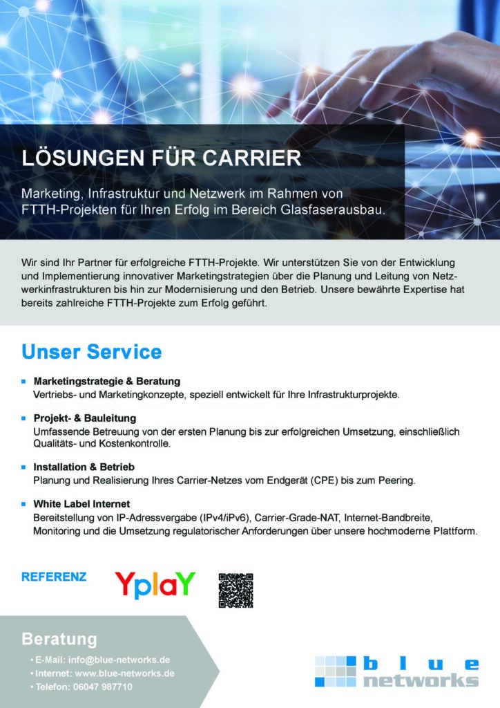 Flyer "Lösung für Carrier" der blue networks Gmbh