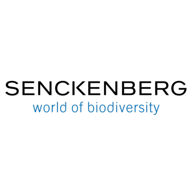 Senckenberg